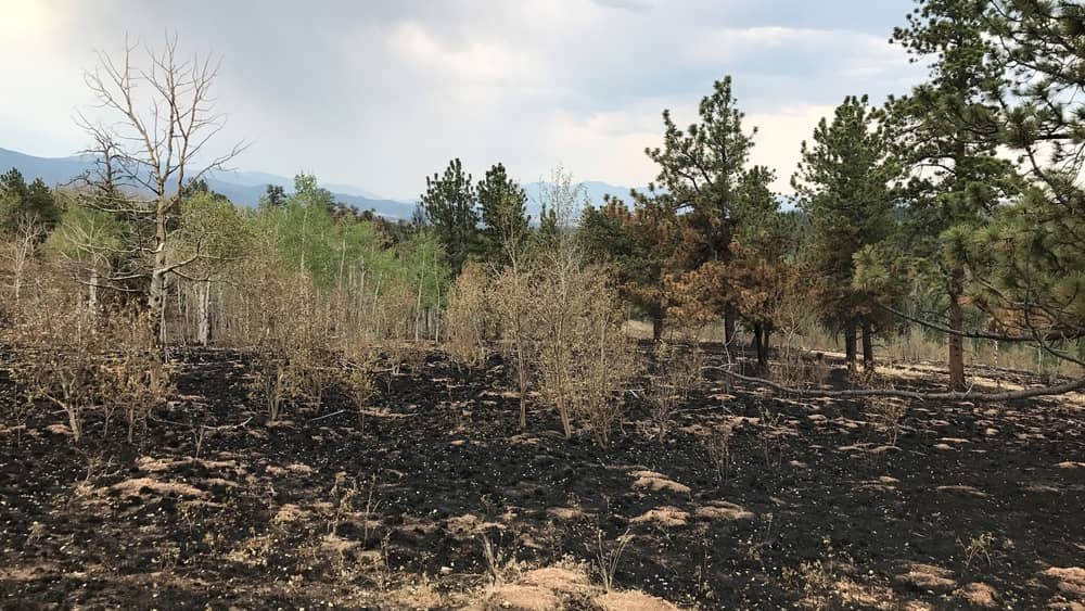 a burn zone