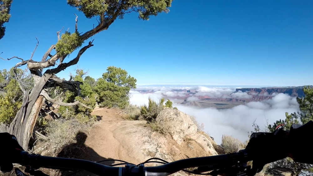 pop out from brush to cliff edge